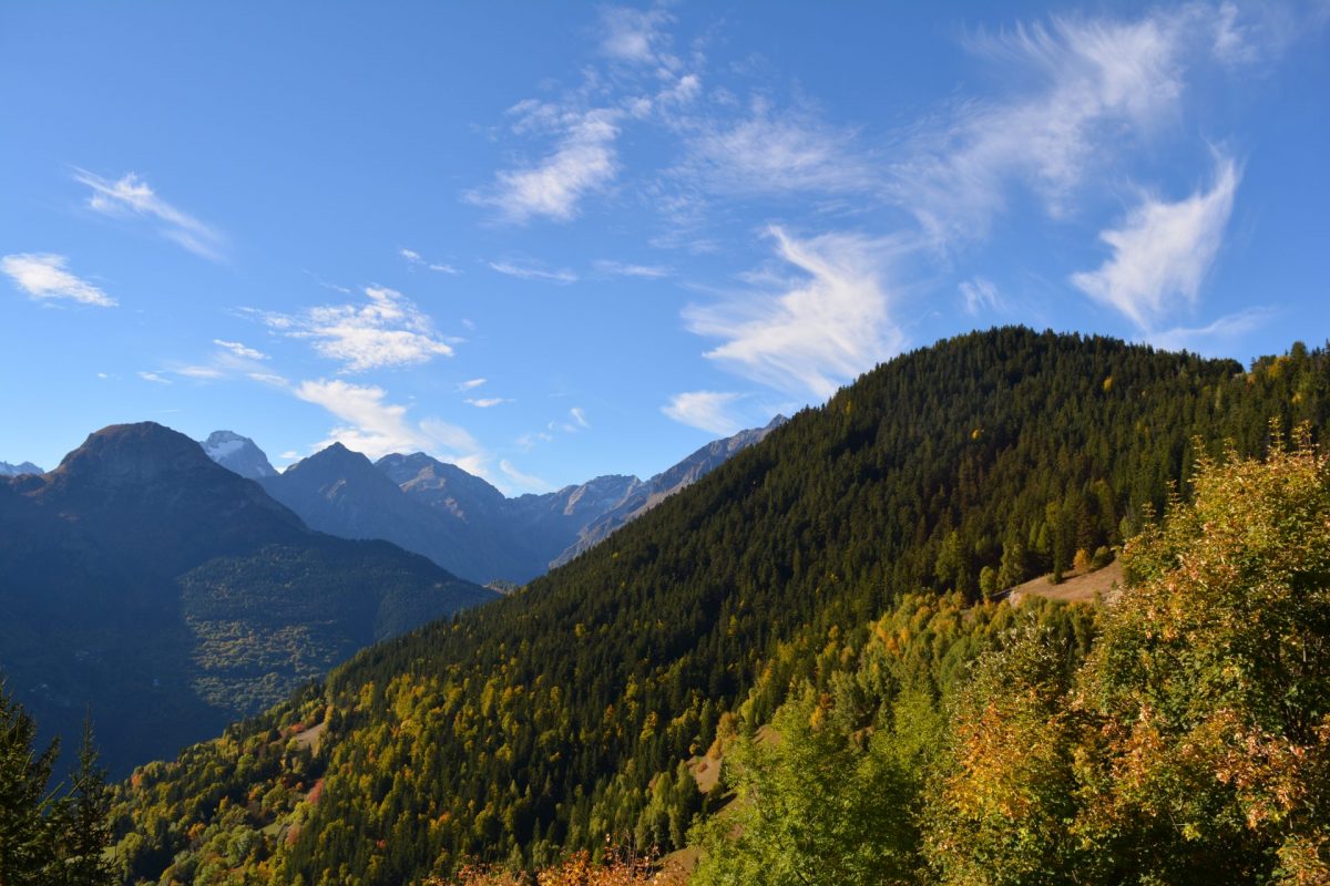 Foret Piégut automne Auris-en-Oisans