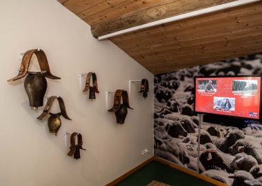 Visite libre du musée de la Maison des Alpages