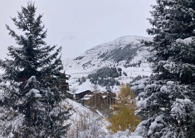 Foret de Piégut AR – sneeuwschoenwandelen vanuit Auris-en-Oisans