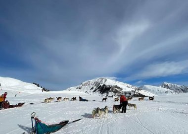 Inleiding tot het rijden