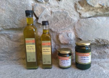 Bezoek aan het plukgebied van Mechelen