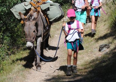 Wandeling met een ezel