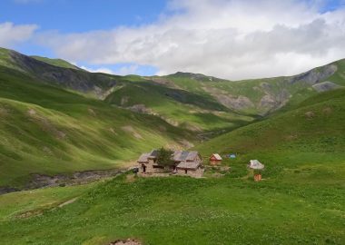 Week end plantes comestibles au Refuge du Pic du Mas de La Grave