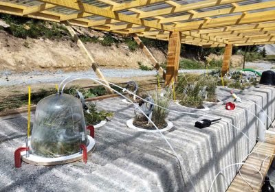 Ateliers scientifiques au jardin du Lautaret