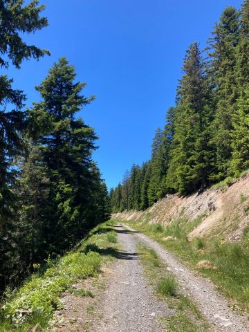 Les Sûres – Wandelen vanuit Auris-en-Oisans_Auris-en-Oisans