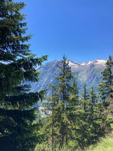 Les Sûres – Wandelen vanuit Auris-en-Oisans_Auris-en-Oisans