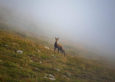 Le Pari – Documentaire met de regisseur