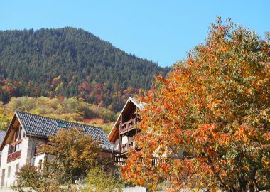 Association d’Aurienchons