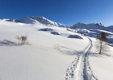 Trektocht met sneeuwschoenen – Bureau des Guides et accompagnateurs Oisans Alpe d’Huez