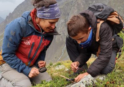 Découverte des plantes médicinales et comestibles avec Anne ZANOLIN