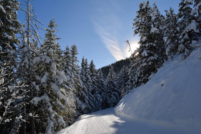 Foret de Piégut – sneeuwschoenwandelen vanuit Auris-en-Oisans_Auris-en-Oisans