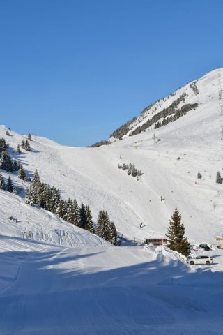 Foret de Piégut – sneeuwschoenwandelen vanuit Auris-en-Oisans_Auris-en-Oisans
