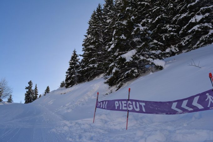 Foret de Piégut – sneeuwschoenwandelen vanuit Auris-en-Oisans_Auris-en-Oisans