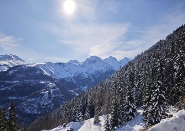 Forêt de Piégut – sneeuwschoenwandelen vanuit Auris-en-Oisans