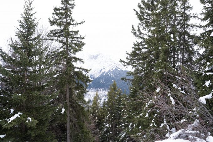 Bosbad” begeleide wandeling_Auris-en-Oisans