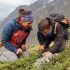 Sorties thématiques chamois, botanique ou étoiles avec Anne ZANOLIN