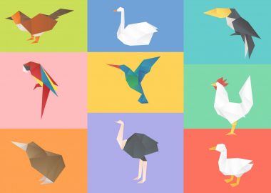 workshop ‘Origami in het wild’