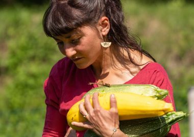 Les Cueillettes de Maline
