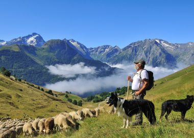 Uitstapje naar de alpenweiden – Ontmoeting met de herder – Auris-en-Oisans