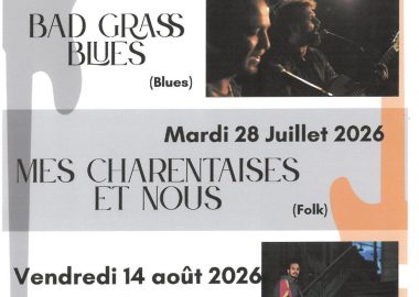 Concert van Bad Grass Blues