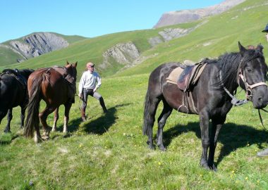 Paardenwandeling met de Meije als decor