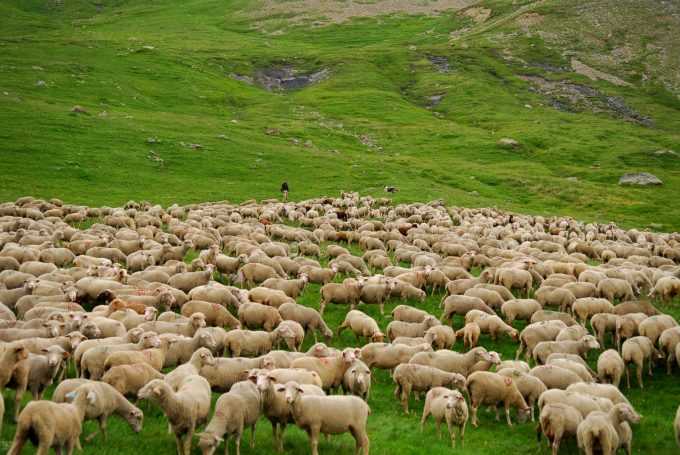 Uitstapje naar de alpenweiden – Besse-en-Oisans_Besse-en-Oisans