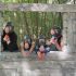 Gelblaster in het bos