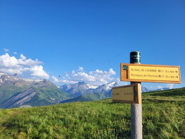 Top van de Signal de l’Homme – wandeling vanuit Auris-en-Oisans_Auris-en-Oisans