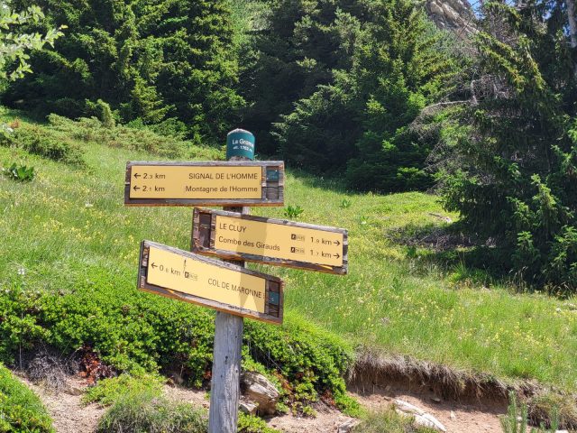 Top van de Signal de l’Homme – wandeling vanuit Auris-en-Oisans_Auris-en-Oisans