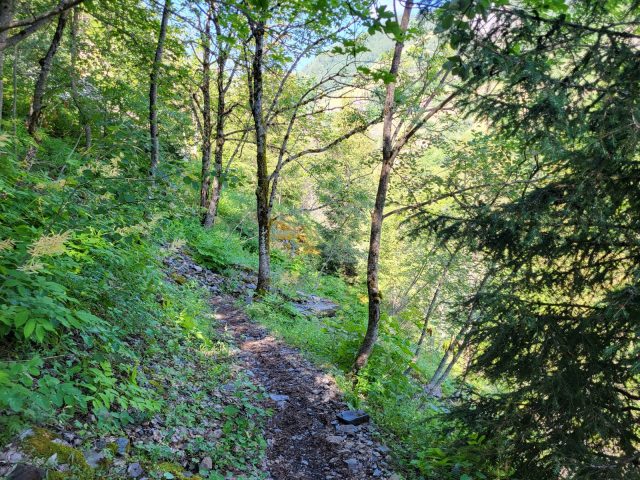 Wandelpad tussen Le Rosai en de Romeinse brug