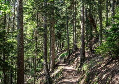 Sentier du Bucheron – Wandeling vanuit het resort Auris-en-Oisans