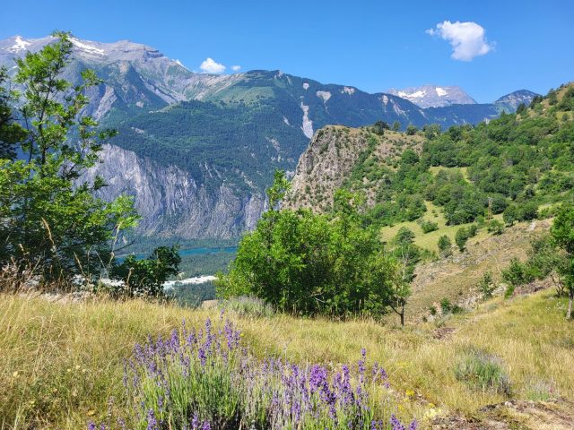 So’cougne