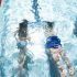 Jardin d’enfants – Initiation natation 4-5 ans
