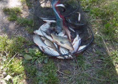 Pêche au Lac Lauvitel