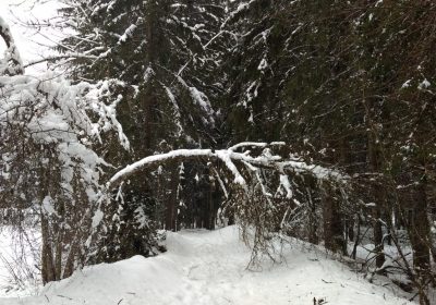 Balade en raquettes – Venosc Village – Cascade de la Muzelle