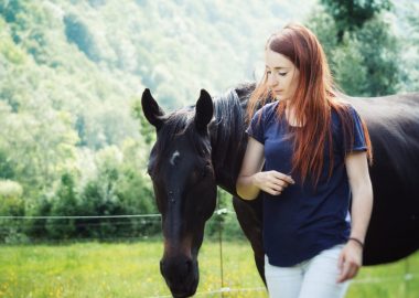 Equidanse paardenmeditatie
