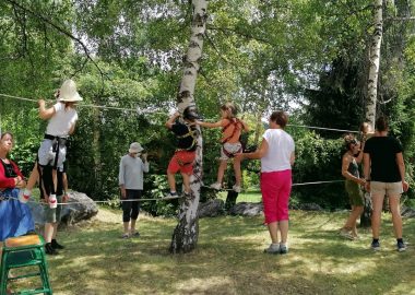 Grimpe dans les arbres