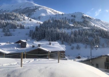 Les Nigritelles B 1 – 12 “Le Refuge”